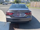 Used 2024 Toyota Camry LE w/ Cold Weather Package image 6