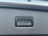 Used 2020 Volkswagen Tiguan SEL w/ 3rd Row Seat Package image 6