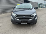 Used 2021 Ford EcoSport SE image 3