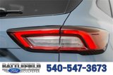 New 2025 Ford Escape ST-Line w/ Tech Pack #1 image 6