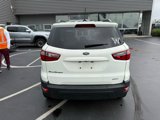 Used 2019 Ford EcoSport SE w/ SE Convenience Package image 4