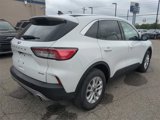 Certified 2022 Ford Escape SE w/ Convenience Package image 5