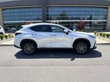 Certified 2024 Lexus NX 350 AWD w/ Premium Package image 2