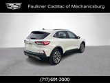 Used 2020 Ford Escape Titanium image 4