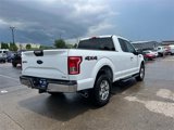 Used 2015 Ford F150 XLT w/ Equipment Group 301A Mid image 3