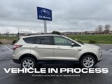 Used 2017 Ford Escape SE w/ Equipment Group 201A image 2