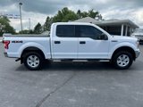 Used 2019 Ford F150 XLT image 4
