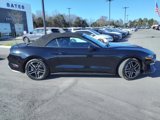 Certified 2022 Ford Mustang Premium image 2