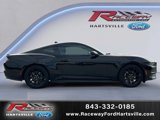 New 2025 Ford Mustang Coupe w/ Mustang Nite Pony Package image 5