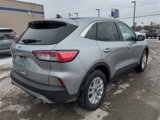 Certified 2022 Ford Escape SE image 5