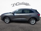 Used 2022 Ford Escape SE w/ Convenience Package image 4
