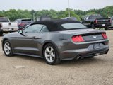 Used 2019 Ford Mustang Convertible image 6