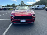 Used 2021 Ford Mustang Coupe w/ Equipment Group 101A image 3