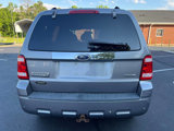 Used 2008 Ford Escape Limited image 6