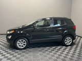 Used 2021 Ford EcoSport SE image 2