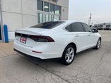 Used 2024 Honda Accord LX image 5