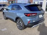 New 2025 Ford Escape Platinum w/ Premium Technology Package image 3