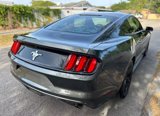 Used 2016 Ford Mustang Coupe image 3