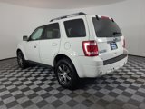 Used 2011 Ford Escape Limited w/ 302A Rapid Spec Order Code image 5