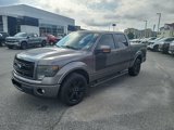 Used 2013 Ford F150 FX2 w/ Luxury Equipment Group image 3
