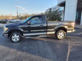 Used 2011 Ford F150 XLT w/ XLT Convenience Pkg image 3