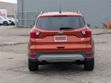 Used 2019 Ford Escape SEL image 4