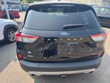 Used 2020 Ford Escape SEL image 4