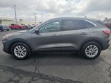 Used 2022 Ford Escape SE w/ Convenience Package image 2