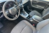 Used 2019 Toyota RAV4 LE w/ Carpet Mat Package image 4