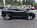 Used 2024 Ford Escape Active image 5