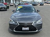 Certified 2024 Lexus ES 300h w/ Premium Package image 3