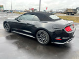 Used 2019 Ford Mustang Premium image 4