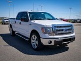 Used 2013 Ford F150 XLT w/ Luxury Equipment Group image 3