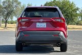Used 2019 Toyota RAV4 XLE image 5