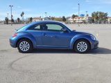 Used 2019 Volkswagen Beetle 2.0T S image 5
