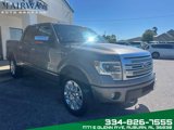 Used 2014 Ford F150 Platinum image 4