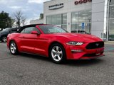Used 2019 Ford Mustang Convertible image 2