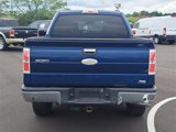 Used 2010 Ford F150 XLT image 4