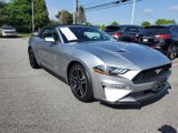 Used 2022 Ford Mustang Premium image 4