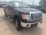 Used 2012 Ford F150 XLT w/ XLT Chrome Pkg image 4