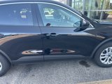 Used 2020 Ford Escape SE image 3