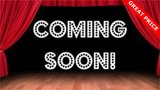 Used 2014 Ford Taurus SHO w/ Equipment Group 401A image 2