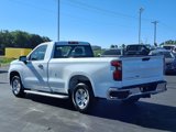 Used 2024 Chevrolet Silverado 1500 W/T w/ WT Fleet Convenience Package image 4