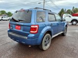 Used 2009 Ford Escape XLT image 6