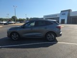 Used 2024 Ford Escape ST-Line w/ Tech Pack #1 image 6