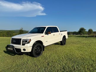 Used 2014 Ford F150 Limited image 1