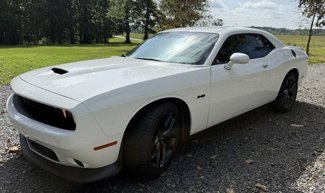 Certified 2023 Dodge Challenger R/T w/ Blacktop Package image 1