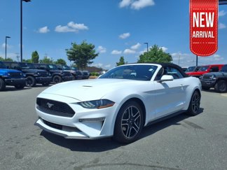 Used 2023 Ford Mustang Premium image 1