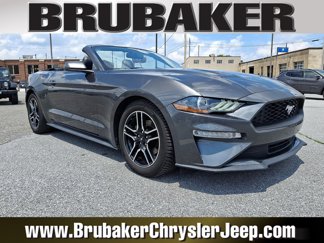 Used 2019 Ford Mustang Premium image 1