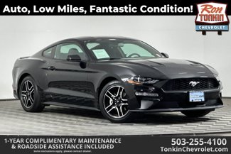 Used 2019 Ford Mustang Coupe w/ Equipment Group 101A image 1